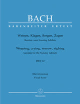 Bach: Weinen, Klagen, Sorgen, Zagen, BWV 12