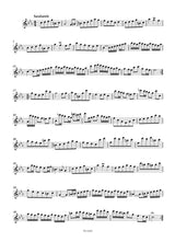 Bach: Partita, BWV 1013 (arr. for treble recorder)