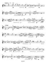 Rieding: Violin Concerto in B Minor, Op. 35